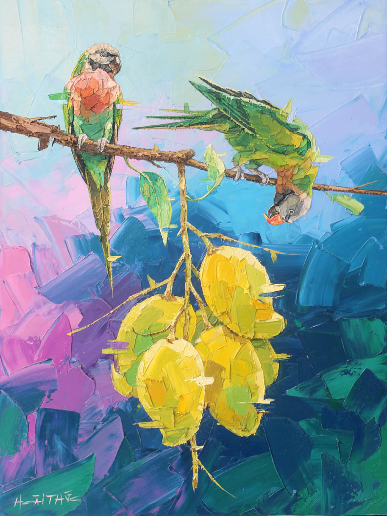  Red-breasted parakeets and mangoes.